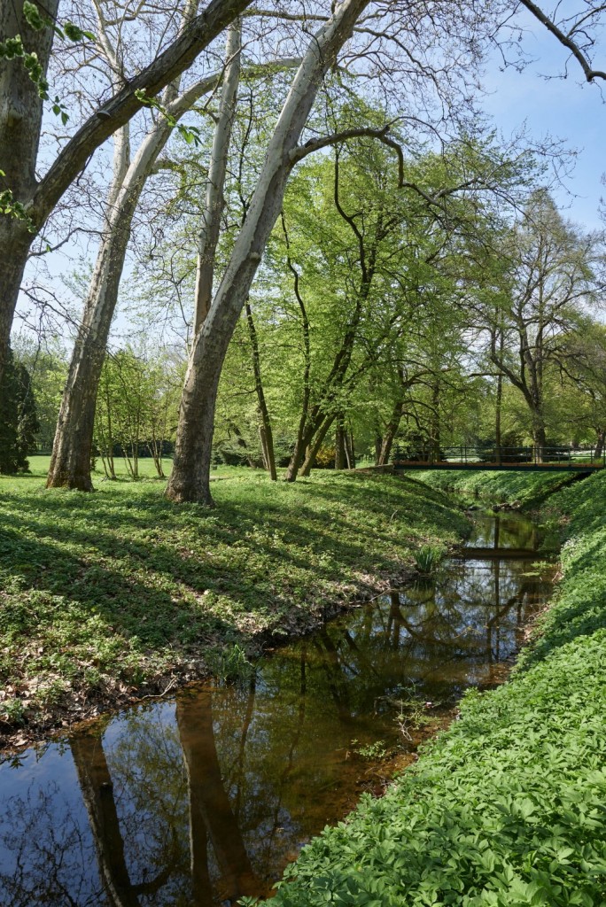 Schubert Park